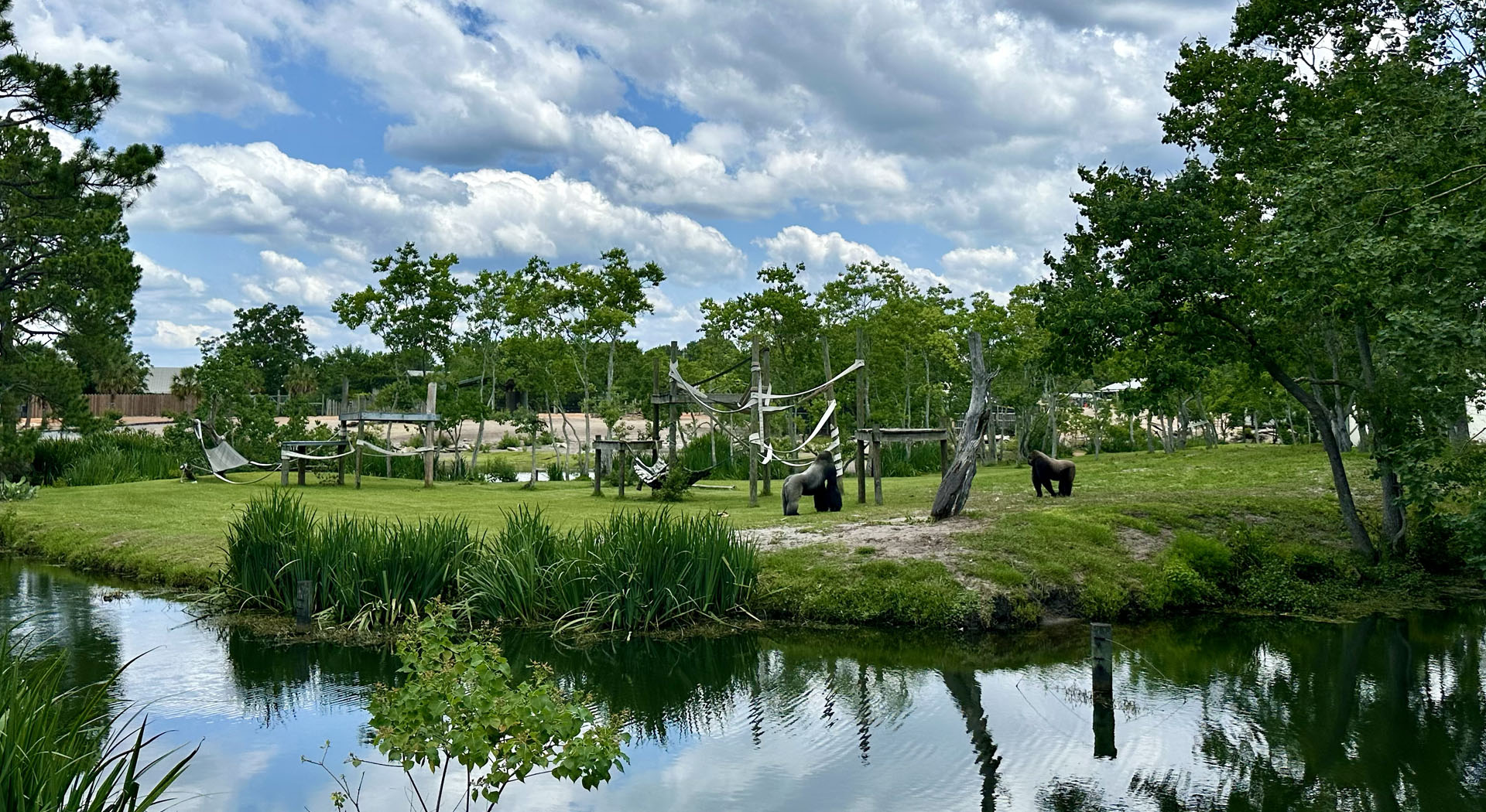 Things To Do Gulf Breeze Zoo